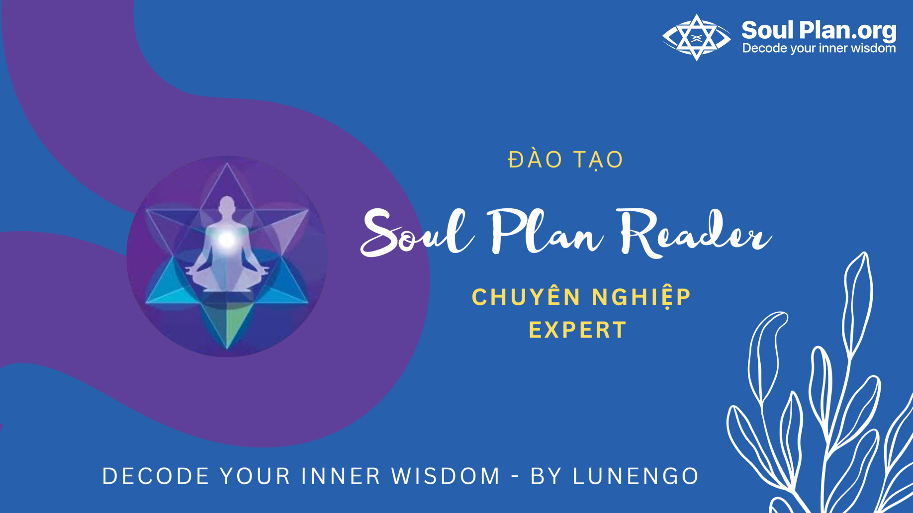 Khóa Học Soul Plan - Cấp độ Expert